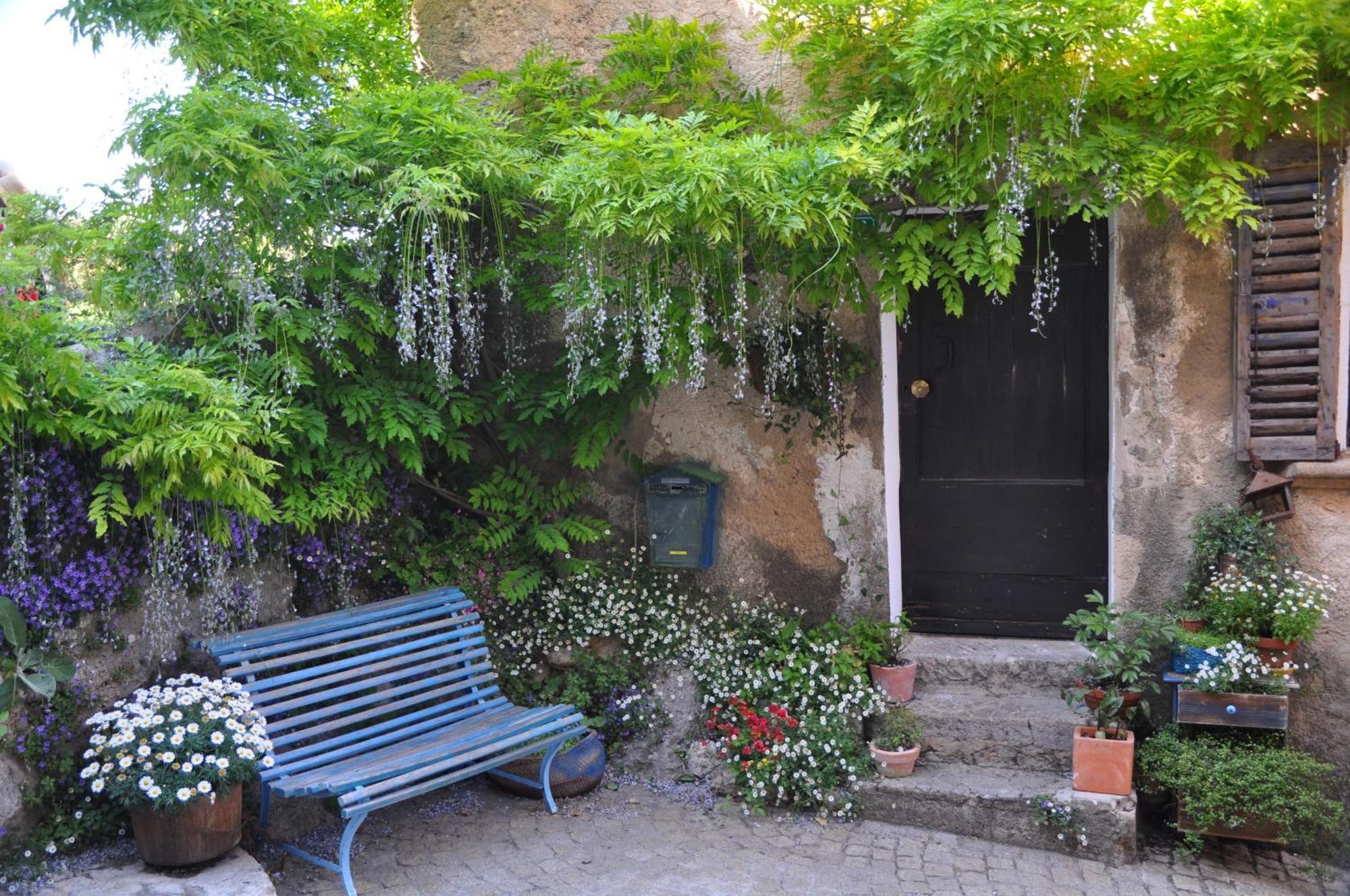 Le Clos Geraldy - Chambres D'Hotes De Charme, Piscine Et Spa Saint-Maximin Esterno foto